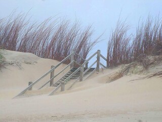 Chalet Serooskerke Ambiente 22