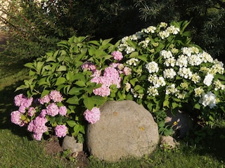vor dem Eingang
