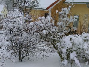 Ferienhaus Land Fleesensee - Göhren-Lebbin - image1