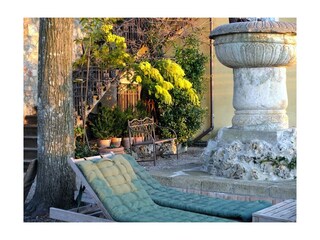 Mimosenblüte im Frühling