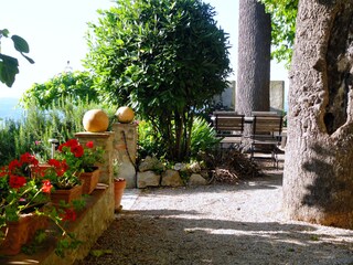 Garten mit alten Bäumen