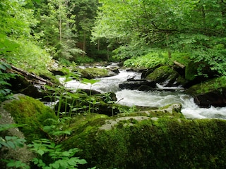 Bärenloch Wanderweg am Osterbach