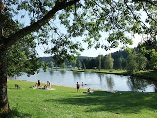 Größter Badesee des Bayerischen Waldes !