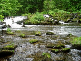 Wandern am Osterbach