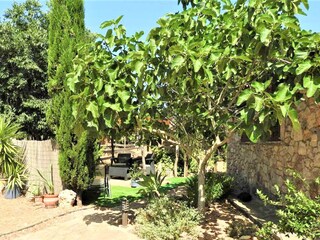 Casa per le vacanze Felanitx Registrazione all'aperto 4