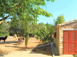 Casa per le vacanze Felanitx Registrazione all'aperto 3