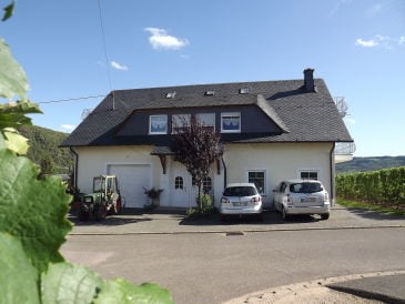 Holiday apartment 'Held' in a guesthouse amidst the vineyards