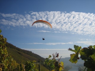 Er sieht sich die Mosel von "Oben" an