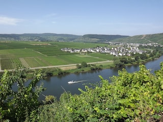 Bootsfahrt auf der Mosel