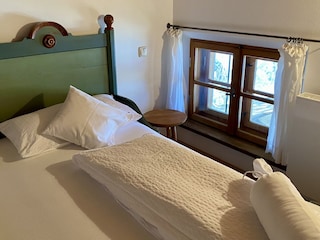 Blick in den Apfelbaum