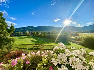 Morgensonne auf dem Balkon