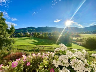 Schattenparkplatz, Fahrradraum