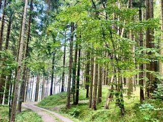 Münchenbummel oder absolute Stille, beides ist ganz nah