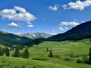 Biobetrieb mit Almen