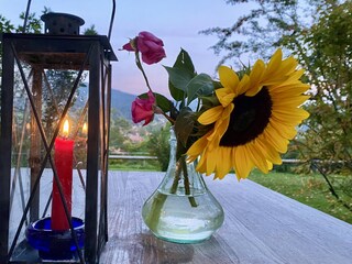 Holiday apartment Schliersee Outdoor Recording 5