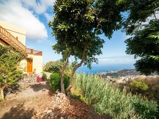 Casa de vacaciones Icod de los Vinos Características 22