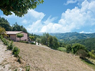 Fattoria Apecchio Ambiente 33