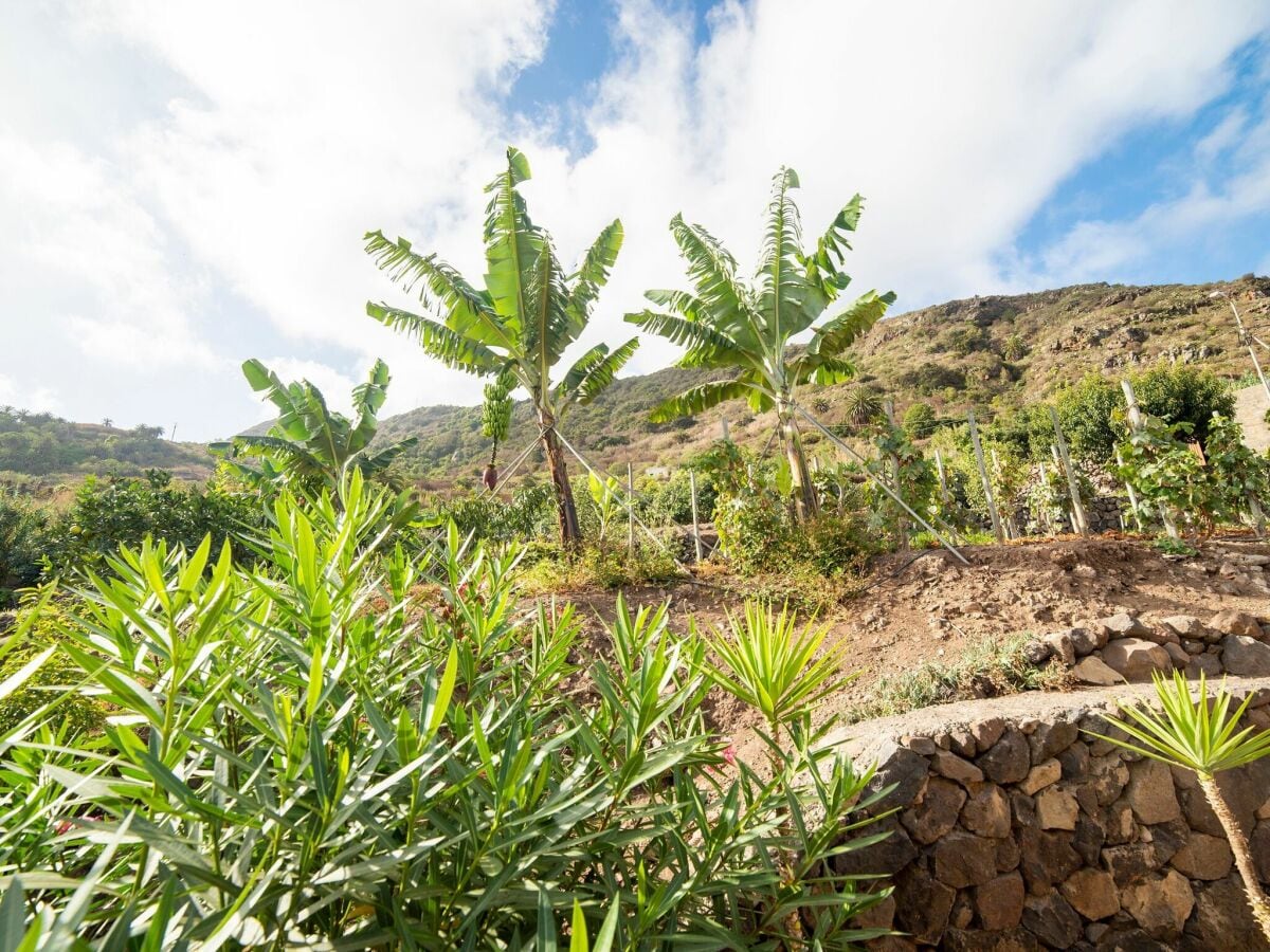 Ferienhaus Icod de los Vinos Umgebung 25