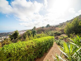 Vakantiehuis Icod de los Vinos Buitenaudio-opname 6