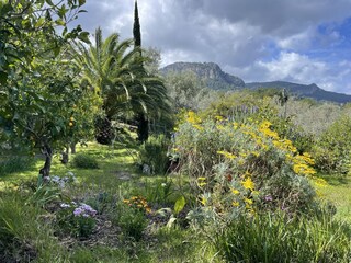 Casa per le vacanze Sóller Registrazione all'aperto 11