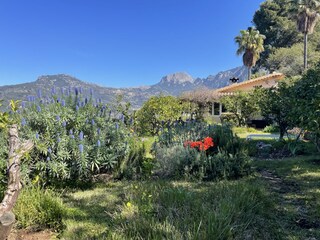 Casa per le vacanze Sóller Registrazione all'aperto 12