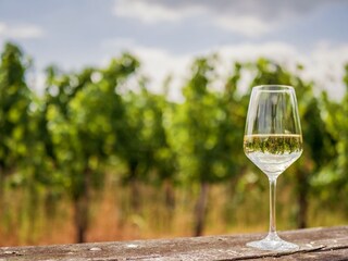 Holiday apartment Köwerich Environment 32