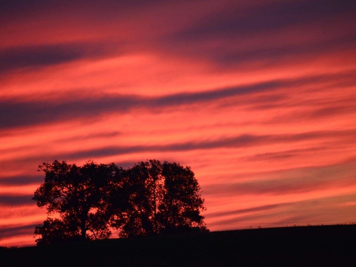 Spaziergang in der Abendsonne