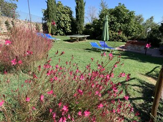 Vakantieappartement Gavorrano Omgeving 11