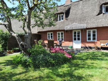 Ferienhaus Reetdach-Haus Nähe Husum