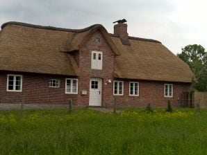 Ferienhaus in Toftum - Oldsum auf Föhr - image1