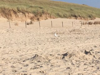 Appartamento Callantsoog Ambiente 28