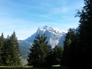 Chalet Grindelwald Umgebung 16