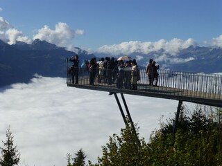 Harder kulm