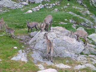 Glecksteinhütte