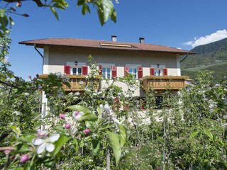 Holiday apartment Meran Outdoor Recording 5