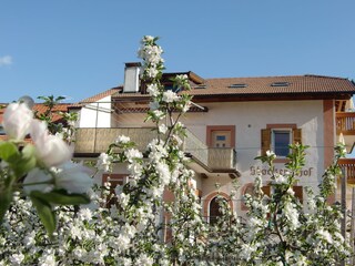 Holiday apartment Meran Outdoor Recording 4