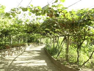 Holiday apartment Meran Environment 13