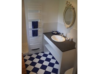 Casa per le vacanze Bretteville-sur-Ay Caratteristiche 12