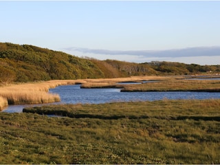 Naturschutzgebiet Geltinger Birk