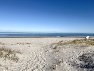 Badestrand Kronsgaard