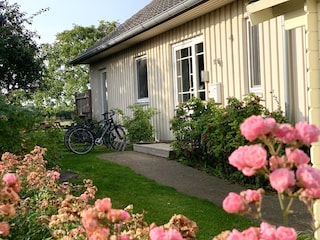 Hauseingang, Fahrradständer