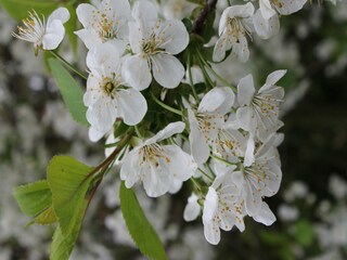 Apartment Kröpelin  35