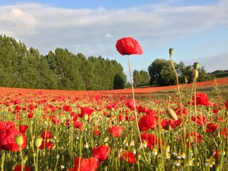 Appartement Kröpelin Omgeving 30