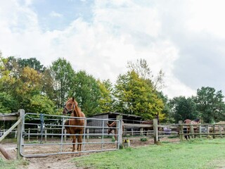 Vakantiehuis Eschede  31
