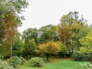 Ferienhaus Eschede Umgebung 30