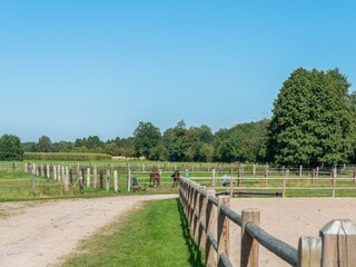 Casa de vacaciones Eschede Entorno 29