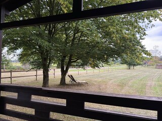 Vakantiehuis Eschede Buitenaudio-opname 5