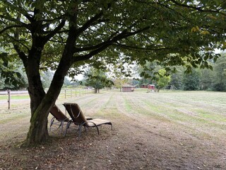 Ferienhaus Eschede Außenaufnahme 7