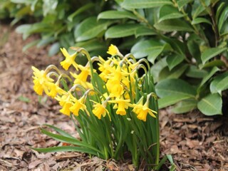 Appartement Kröpelin  32