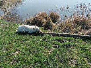 Apartment Kröpelin Environment 30